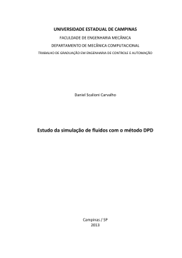 Estudo da simula&ccedil;&atilde;o de fluidos com o m&eacute;todo DPD