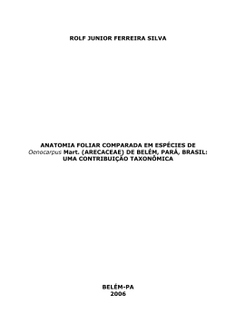 ROLF JUNIOR FERREIRA SILVA ANATOMIA FOLIAR