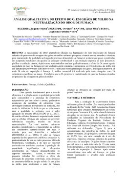 Analise qualitativa do efeito do O3 em gr&atilde;os de milho na