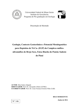 Geologia, Contexto Geotect&ocirc;nico e Potencial Metalogen&eacute;tico para