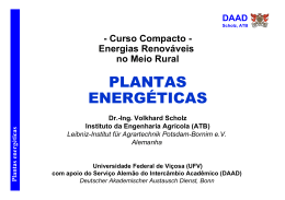 4 Plantas energéticas