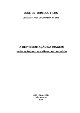 JOS&Eacute; ESTORNIOLO FILHO A REPRESENTA&Ccedil;&Atilde;O DA IMAGEM