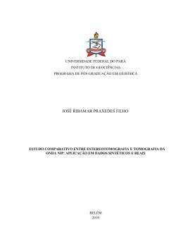 JOS&Eacute; RIBAMAR PRAXEDES FILHO - Universidade Federal do Par&aacute;