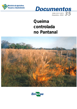 Queima controlada no Pantanal