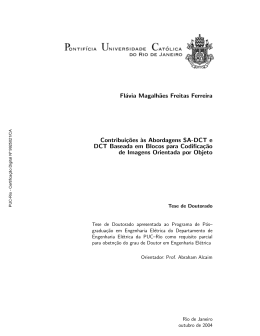 Fl&aacute;via Magalh&tilde;aes Freitas Ferreira Contribui&ccedil;&tilde;oes - Maxwell