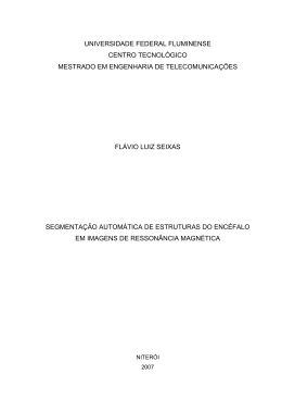 Disserta&ccedil;&atilde;o