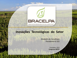 ABTCP - Bracelpa