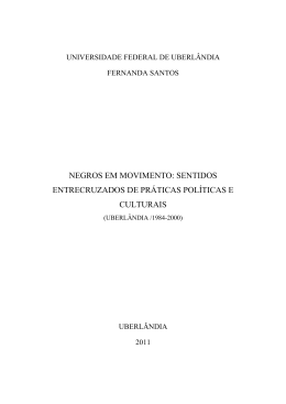 Disserta&ccedil;&atilde;o Fernanda Santos - RI UFU