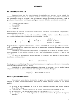 Vetores - f&iacute;sica