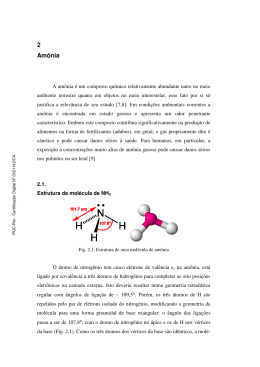 2 Am&ocirc;nia - Divis&atilde;o de Bibliotecas e Documenta&ccedil;&atilde;o PUC-Rio