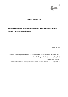 2.2.1. Solos antr&oacute;picos