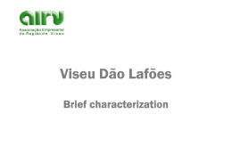 AIRV - Associa&ccedil;&atilde;o Empresarial da Regi&atilde;o de Viseu