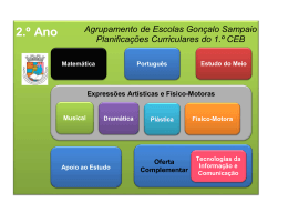 2.&ordm; Ano