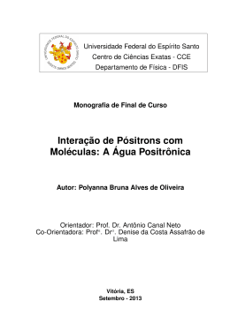 Intera&ccedil;&atilde;o de P&oacute;sitrons com Mol&eacute;culas: A &Aacute;gua Positr&ocirc;nica