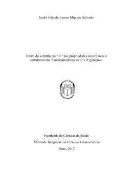 Andr&eacute; Jo&atilde;o de Lemos Migu&eacute;is Salvador Efeito do substituinte &ldquo;