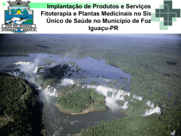 APL Foz do Igua&ccedil;u