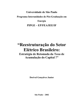 &ldquo;Reestrutura&ccedil;&atilde;o do Setor El&eacute;trico Brasileiro: