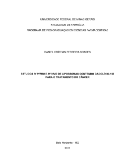 &not;&not;Daniel Cr&iacute;stian Ferreira Soares - Biblioteca Digital de Teses e