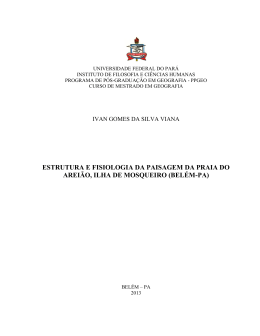 ivan gomes da silva viana - Universidade Federal do Par&aacute;