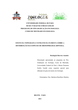 disserta&ccedil;&atilde;o Ros&acirc;ngela Amador