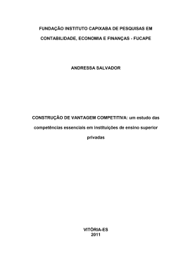 SALVADOR, Andressa. Constru&ccedil;&atilde;o de vantagem competitiva