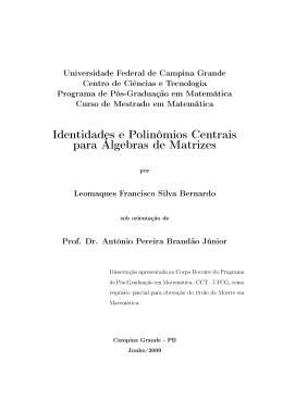 Identidades e Polin&ocirc;mios Centrais para &Aacute;lgebras de Matrizes