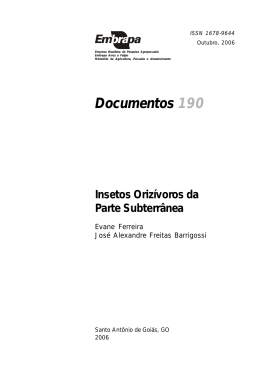 Insetos oriz&iacute;voros da parte subterr&acirc;nea