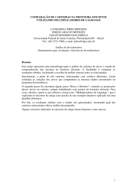 GIACOMELLI, J. R. . Compara&ccedil;&atilde;o de Carteiras na Fronteira
