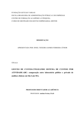 Disserta&ccedil;&atilde;o Ionel Teixeira Gomes Ferreira Junior