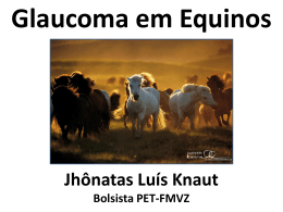 Glaucoma Equinos