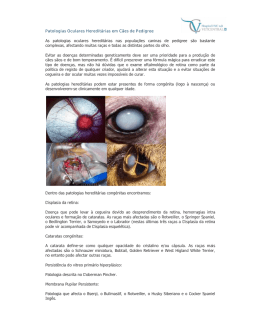Patologias Oculares Hereditárias em Cães de Pedigree As