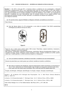 1 Questão 1 – Em 2010 e início de 2011, a imprensa noticiou a