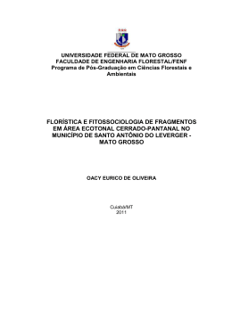 Disserta&ccedil;&atilde;o