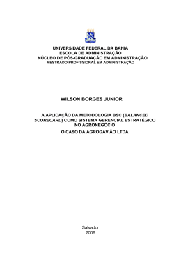 WILSON BORGES JUNIOR