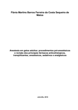 Fl&aacute;via Martins Barros Ferreira da Costa Sequeira de Matos