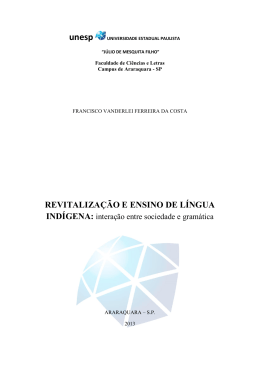 revitaliza&ccedil;&atilde;o e ensino de l&iacute;ngua ind&iacute;gena
