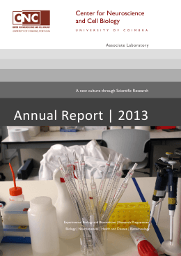 Relatório Anual de Actividades do CNC 2013