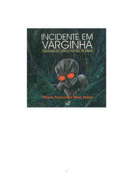 Incidente em Varginha