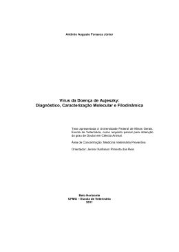 Ant&ocirc;nio Augusto Fonseca J&uacute;nior - Biblioteca Digital de Teses e