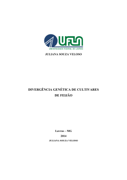 Juliana Souza Veloso