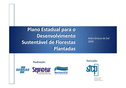 Florestas Plantadas no Mato Grosso do Sul - OPEC