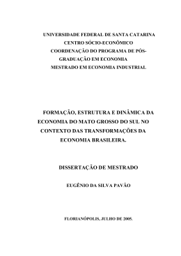 forma&ccedil;&atilde;o, estrutura e din&acirc;mica da economia do mato grosso do sul