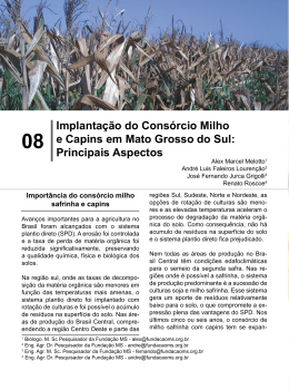 Implanta&ccedil;&atilde;o do Cons&oacute;rcio Milho e Capins em Mato Grosso do Sul
