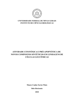 Disserta&ccedil;&atilde;o