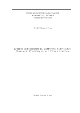 Simula&ccedil;&atilde;o Computacional e Teoria El&aacute;stica - pfi