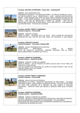 Vendedor: NELSON LATURRAGHE &ndash; Nosso S&iacute;tio &ndash; Indaiatuba/SP