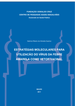 estrat&eacute;gias moleculares para utilizac&atilde;o do v&iacute;rus da