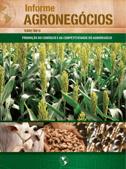 Edi&ccedil;&atilde;o 6