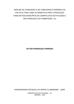 An&aacute;lise de otimiza&ccedil;&atilde;o e de viabilidade econ&ocirc;mica da