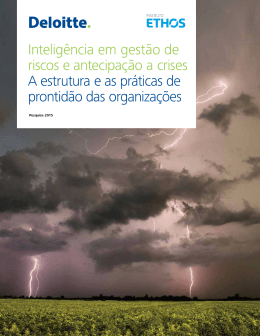 Intelig&ecirc;ncia em gest&atilde;o de riscos e antecipa&ccedil;&atilde;o a crises A estrutura